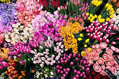 传《黑手党4》不会在夏季游戏节上公布